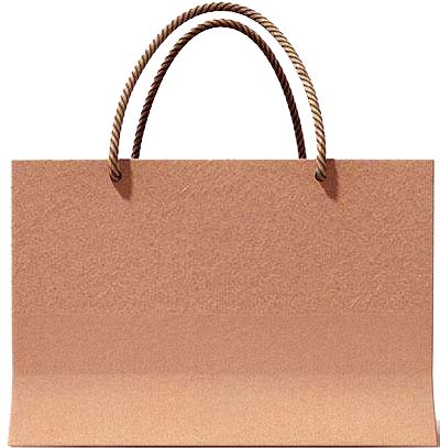Shopping Bag